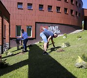 Vilniaus &Scaron;e&scaron;kinės rajonas nuo &scaron;iol bus žalesnis 
