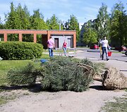 Vilniaus &Scaron;e&scaron;kinės rajonas nuo &scaron;iol bus žalesnis 