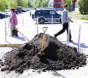 Vilniaus &Scaron;e&scaron;kinės rajonas nuo &scaron;iol bus žalesnis 