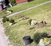 Vilniaus &Scaron;e&scaron;kinės rajonas nuo &scaron;iol bus žalesnis 