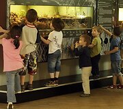Vandenų gyvūnams Diuseldorfo vandens zoologijos sode &bdquo;Eurovizijos&ldquo; kovos nerūpi