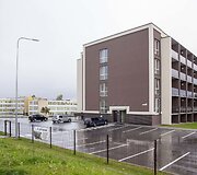 Vilnelės butai 