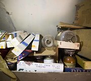 Sapiegos parke rasta medicininių ir cheminių medžiagų &bdquo;lobis&ldquo;