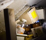 Sapiegos parke rasta medicininių ir cheminių medžiagų &bdquo;lobis&ldquo;