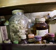 Sapiegos parke rasta medicininių ir cheminių medžiagų &bdquo;lobis&ldquo;