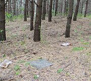 Praėjus valandai Rasų seniūnas dokumentus surinko, liko tik kitos &scaron;iuk&scaron;lės