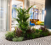 Bendradarbystės erdvė &bdquo;Monday Office&ldquo;