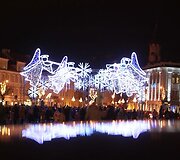Rotu&scaron;ės aik&scaron;tėje įsikūrė angelai