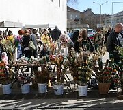 Verbų &ndash; kiek akys užmato