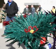... o gyvūnai &ndash; sveiki