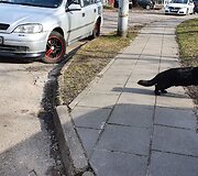 Renovacijos ženklai senajame Vilniaus Žirmūnų rajone