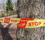 Renovacijos ženklai senajame Vilniaus Žirmūnų rajone