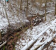Mykolo paie&scaron;kų akimirka