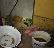 Pareigūnų radiniai