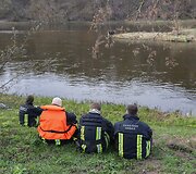 Briedžio gelbėjimo operacijos paspartinti nepavyko