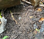Bylos įkalčiai
