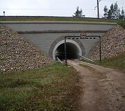 Maždaug už kilometro nuo Bražuolės upės esantis tunelis po geležinkeliu.