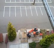 Kalinių i&scaron;ne&scaron;tas maistas