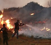 Gaisrui pasiekus Atėnus ugniagesiai kovoja su liepsnomis, o žmonės evakuojami i&scaron; priemiesčių.