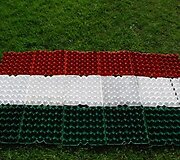 Netradicinės vėliavos