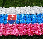 Netradicinės vėliavos
