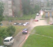 Liūtis Kaune, &Scaron;ilainiuose