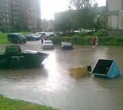 Liūtis Kaune, &Scaron;ilainiuose