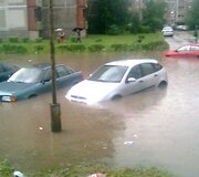 Liūtis Kaune, &Scaron;ilainiuose