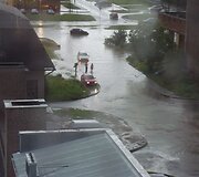 Liūtis Kaune, Baltų prospekte 