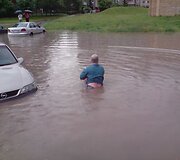 Liūtis &Scaron;ilainiuose, Baltų prospekte 