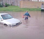 Liūtis &Scaron;ilainiuose, Baltų prospekte 