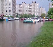 Liūtis &Scaron;ilainiuose, Baltų prospekte 