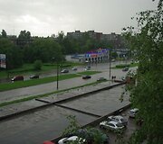 Liūtis Kaune, Taikos prospekte