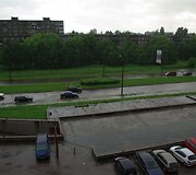 Liūtis Kaune, Taikos prospekte