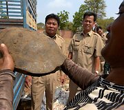 Kambodžoje pareigūnai sulaikė 570 kilogramų kontrabandos &ndash; 102 vėžlius ir 17 pitonų. 