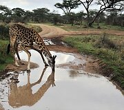 Tanzanijoje