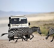 Tanzanijoje