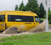 Liūties Kaune padariniai
