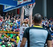 Ignas Brazdeikis