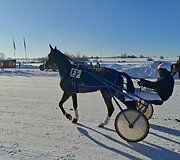 Sartų žirgų lenktynių akimirka