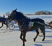 Sartų žirgų lenktynių akimirka