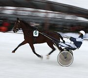 &bdquo;Sartai 2011&ldquo; žirgų lenktynių akimirka
