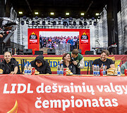 Nacionalinė grilio diena Kauno Nemuno saloje