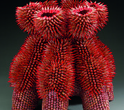 Jennifer Maestre skulptūra &bdquo;Stargazer&ldquo;