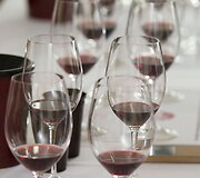 &bdquo;Vino Nobile di Montepulciano D.O.C.G. 2013&ldquo; degustacija