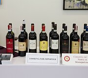&bdquo;Vino Nobile di Montepulciano D.O.C.G. 2013&ldquo; degustacija