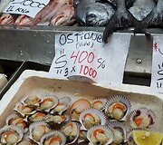 Santjago centrinis turgus: austrės ir žuvys