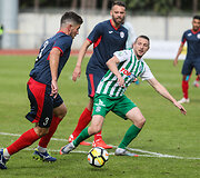 Liviu Antalis