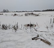 Įvykio vietoje