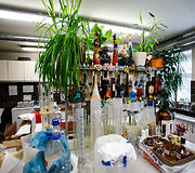 Kriminalinės policijos tyrimų skyriuje